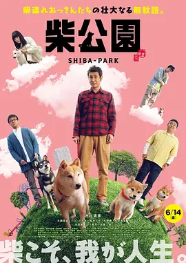 成人精品视频在线观看完整版